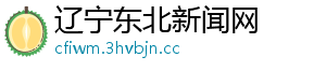 辽宁东北新闻网